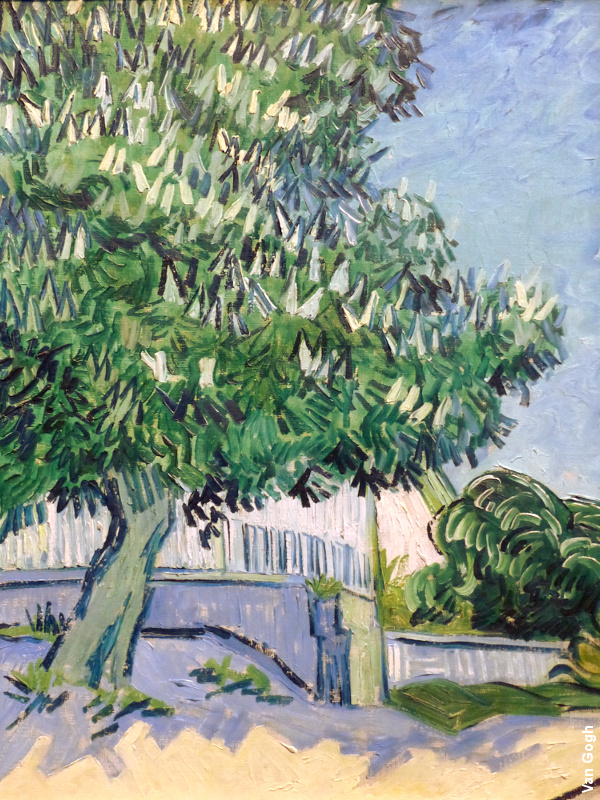 Branches de marronnier en fleur - Van Gogh