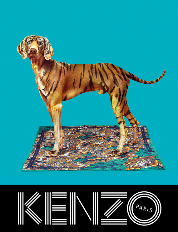 Campagne Kenzo - Automne/hiver 2013-2014 - Photo 8