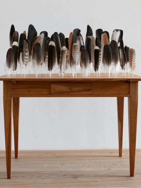 Prendre la plume... oui, mais laquelle ?