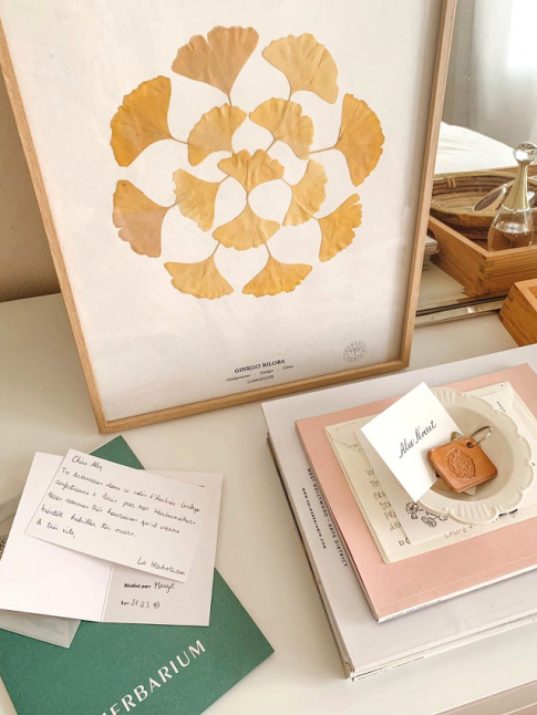 Les feuilles de ginkgo dshydrates, presque plus potiques que les fleurs sches !