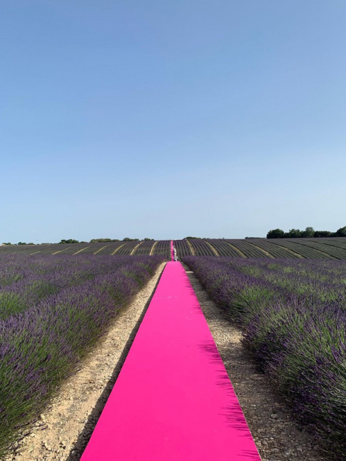 Pour son dfil printemps/t 2020, Jacquemus semble avoir trouv le meilleur des dcors...