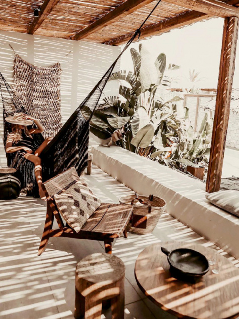 Hamac + maxi plantes vertes = le bon mix