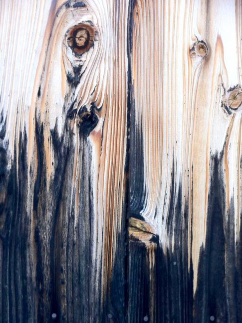 La nature : un incroyable gnrateur de mix and match de textures !
