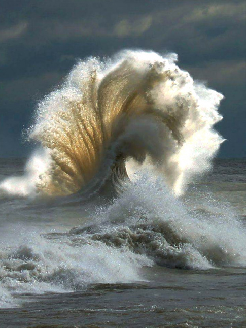 Les vagues, ces cratures affolantes de beaut...