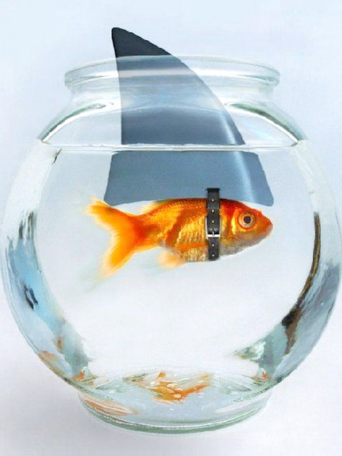 Ne jamais se fier aux apparences...