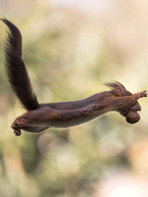 Y croire... tout un art !